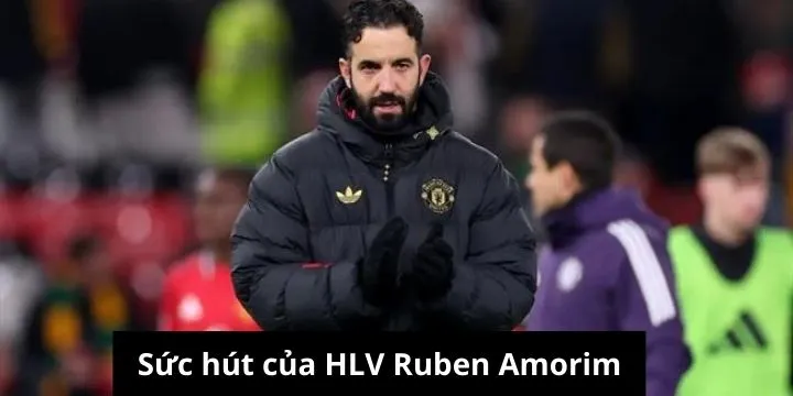 HLV Amorim vẫn giữ sức hút sau vết gờ từ MU